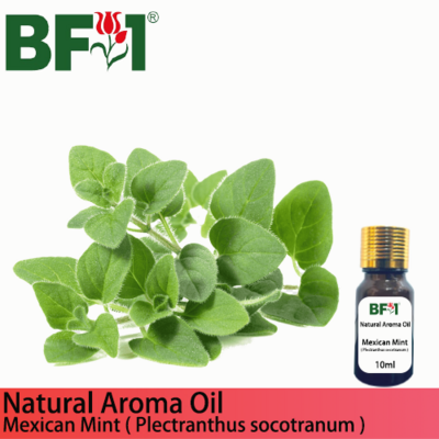 Natural Aroma Oil (AO) - Mint - Mexican Mint ( Plectranthus socotranum ) Aroma Oil - 10ml