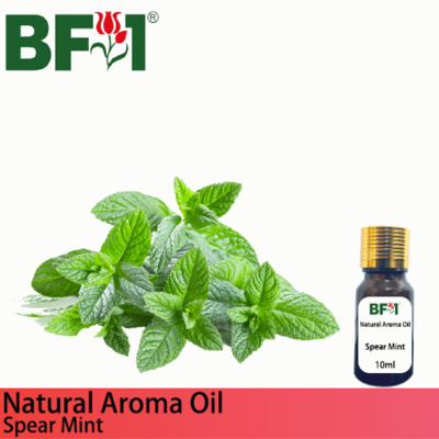 Natural Aroma Oil (AO) - Mint - Spear Mint Aroma Oil - 10ml