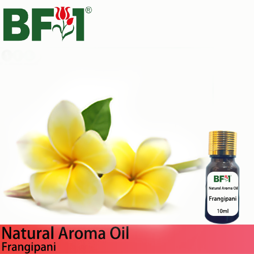 Natural Aroma Oil (AO) - Frangipani Aroma Oil - 10ml