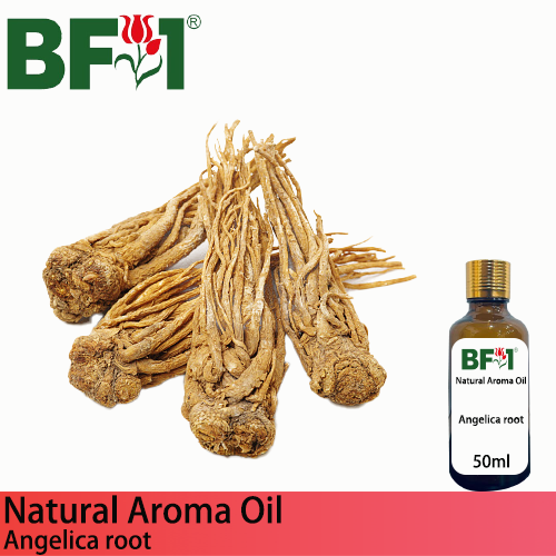 Natural Aroma Oil (AO) - Angelica root Aroma Oil - 50ml