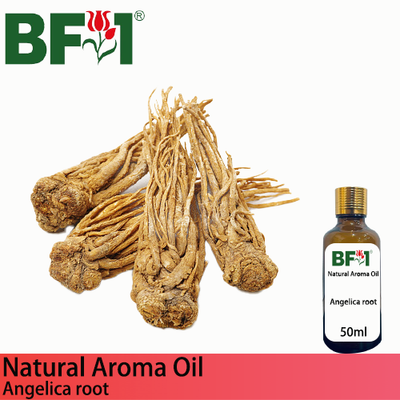 Natural Aroma Oil (AO) - Angelica root Aroma Oil  - 50ml