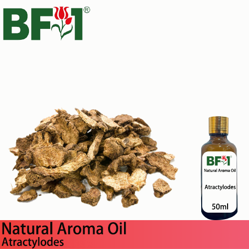 Natural Aroma Oil (AO) - Atractylodes Aroma Oil - 50ml