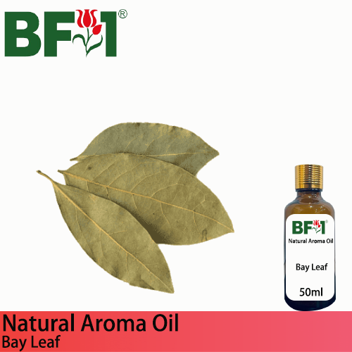Natural Aroma Oil (AO) - Bay Leaf Aroma Oil - 50ml