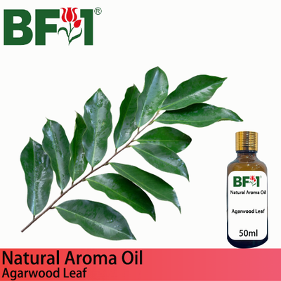Natural Aroma Oil (AO) - Agarwood Leaf Aroma Oil  - 50ml