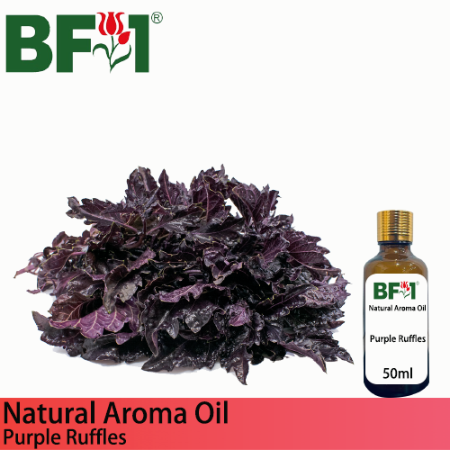 Natural Aroma Oil (AO) - Basil - Purple Ruffles Basil Aroma Oil - 50ml