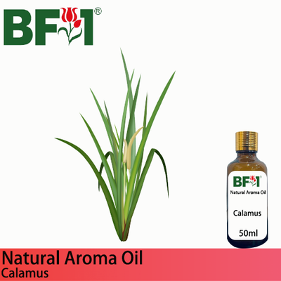Natural Aroma Oil (AO) - Calamus Aroma Oil  - 50ml