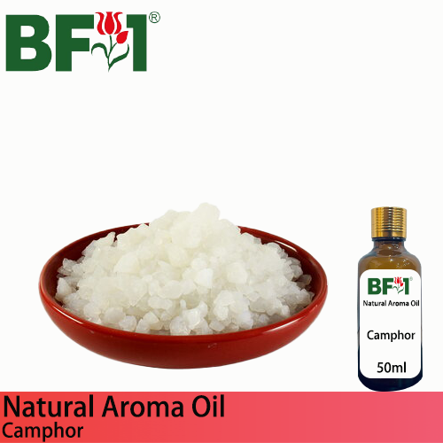 Natural Aroma Oil (AO) - Camphor Aroma Oil - 50ml