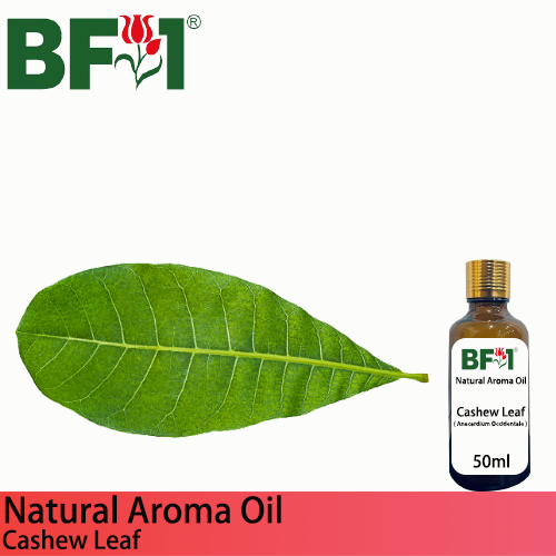 Natural Aroma Oil (AO) - Cashew Leaf ( Anacardium Occidentale ) Aroma Oil - 50ml