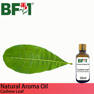 Natural Aroma Oil (AO) - Cashew Leaf ( Anacardium Occidentale ) Aroma Oil  - 50ml