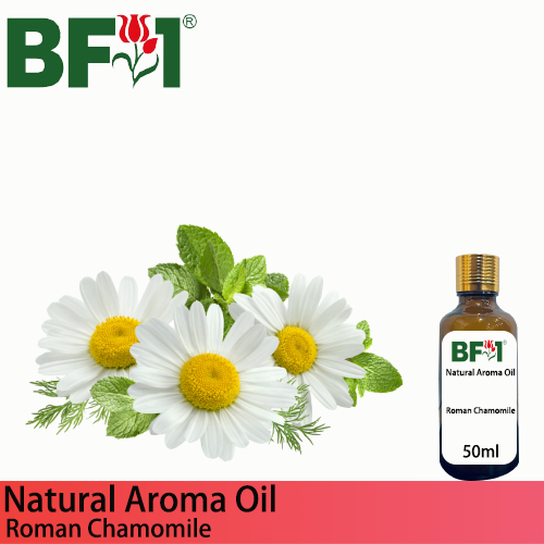 Natural Aroma Oil (AO) - Chamomile - Roman Chamomile Aroma Oil - 50ml
