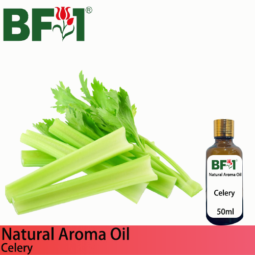 Natural Aroma Oil (AO) - Celery Aroma Oil - 50ml