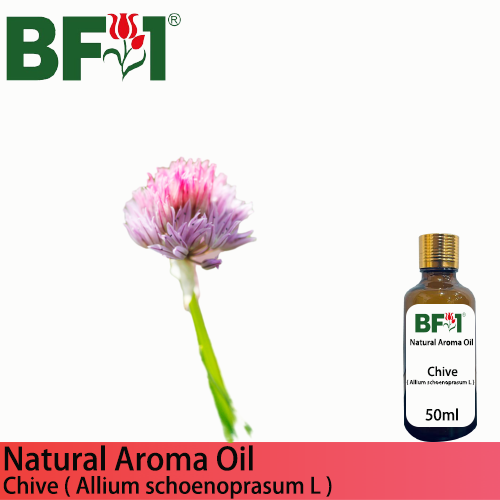 Natural Aroma Oil (AO) - Chive ( Allium schoenoprasum L ) Aroma Oil - 50ml