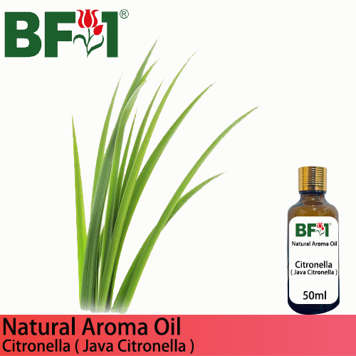 Natural Aroma Oil (AO) - Citronella ( Java Citronella ) Aroma Oil - 50ml
