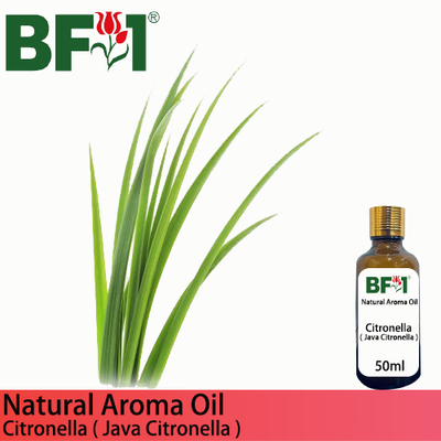 Natural Aroma Oil (AO) - Citronella ( Java Citronella ) Aroma Oil  - 50ml