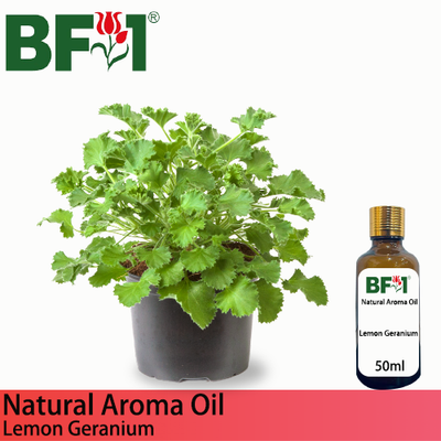 Natural Aroma Oil (AO) - Geranium - Lemon Geranium Aroma Oil  - 50ml