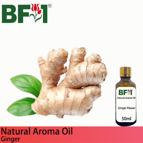 Natural Aroma Oil (AO) - Ginger Aroma Oil  - 50ml