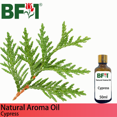 Natural Aroma Oil (AO) - Cypress Aroma Oil  - 50ml
