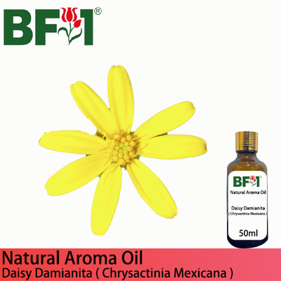 Natural Aroma Oil (AO) - Daisy Damianita ( Chrysactinia Mexicana ) Aroma Oil  - 50ml