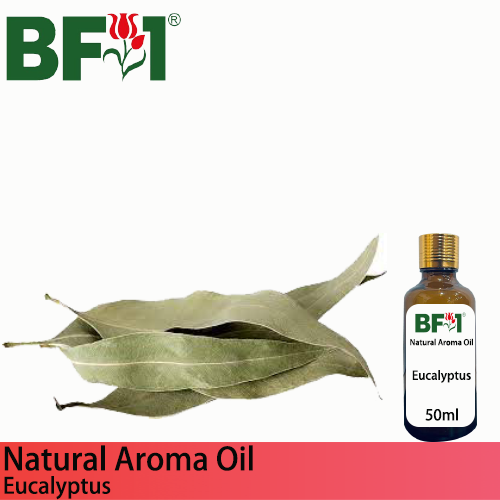 Natural Aroma Oil (AO) - Eucalyptus Aroma Oil  - 50ml