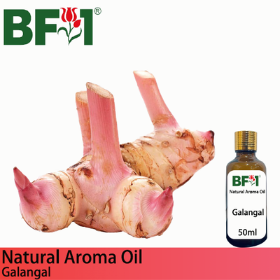 Natural Aroma Oil (AO) - Galangal Aroma Oil  - 50ml