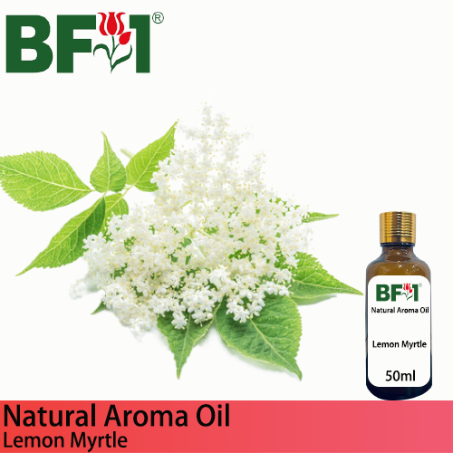 Natural Aroma Oil (AO) - Lemon Myrtle Aromatic Aroma Oil - 50ml