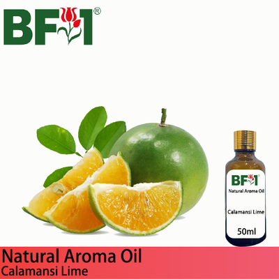 Natural Aroma Oil (AO) - Lime - Calamansi Lime Aroma Oil  - 50ml