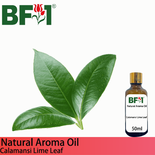 Natural Aroma Oil (AO) - Lime - Calamansi Lime Leaf Aroma Oil  - 50ml