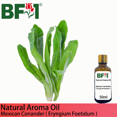 Natural Aroma Oil (AO) - Mexican Coriander ( Eryngium Foetidum ) Aroma Oil  - 50ml