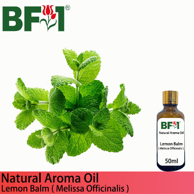 Natural Aroma Oil (AO) - Mint - Lemon Balm ( Melissa Officinalis ) Aroma Oil  - 50ml