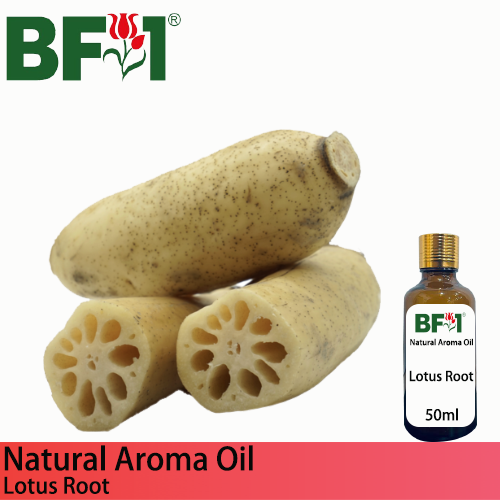 Natural Aroma Oil (AO) - Lotus Root Aroma Oil  - 50ml