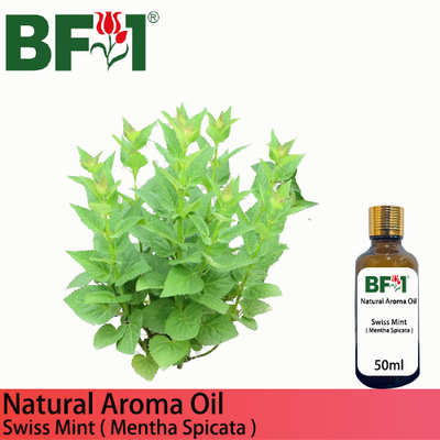 Natural Aroma Oil (AO) - Mint - Swiss Mint ( Mentha Spicata ) Aroma Oil  - 50ml