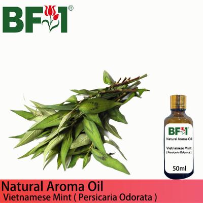 Natural Aroma Oil (AO) - Mint - Vietnamese Mint ( Persicaria Odorata ) Aroma Oil  - 50ml