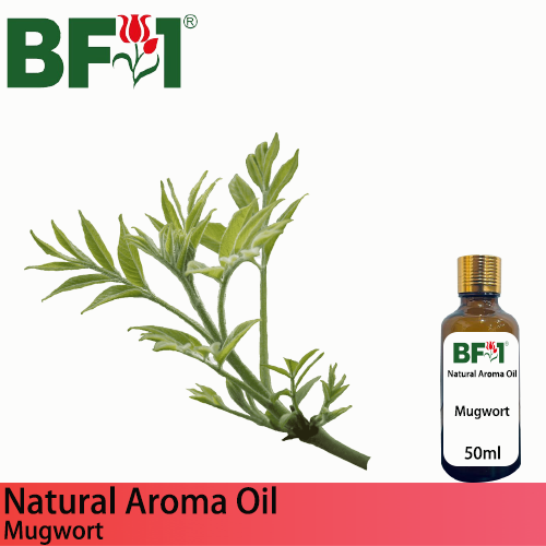 Natural Aroma Oil (AO) - Mugwort Aroma Oil - 50ml