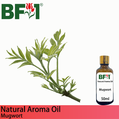 Natural Aroma Oil (AO) - Mugwort Aroma Oil - 50ml