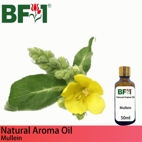 Natural Aroma Oil (AO) - Mullein Aroma Oil  - 50ml