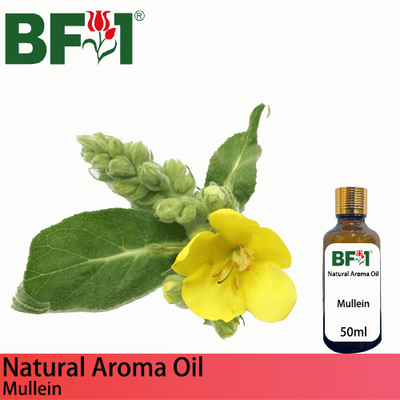 Natural Aroma Oil (AO) - Mullein Aroma Oil  - 50ml
