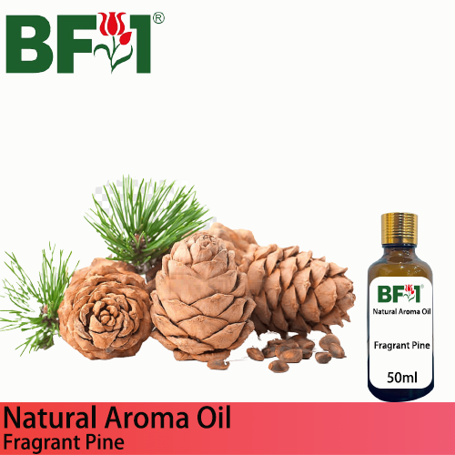 Natural Aroma Oil (AO) - Pine - Fragrant Pine Aroma Oil  - 50ml