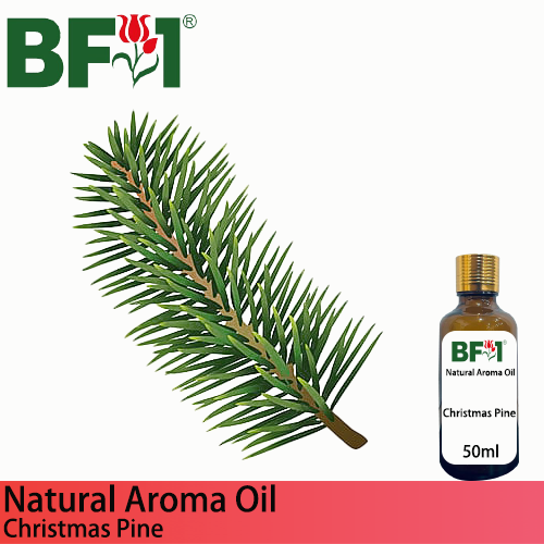 Natural Aroma Oil (AO) - Pine - Christmas Pine Aroma Oil  - 50ml