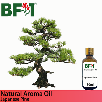 Natural Aroma Oil (AO) - Pine - Japanese Pine Aroma Oil - 50ml