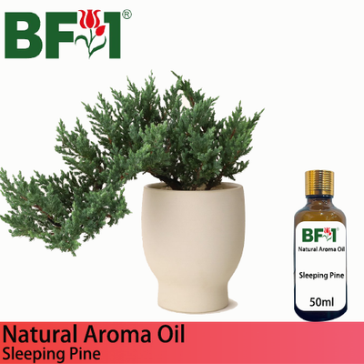 Natural Aroma Oil (AO) - Pine - Sleeping Pine Aroma Oil - 50ml