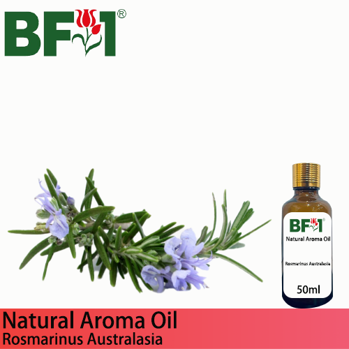 Natural Aroma Oil (AO) - Rosmarinus Australasia Aroma Oil  - 50ml