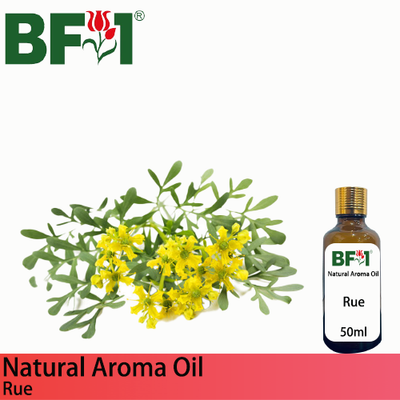 Natural Aroma Oil (AO) - Rue ( Ruta Graveolens ) Aroma Oil - 50ml