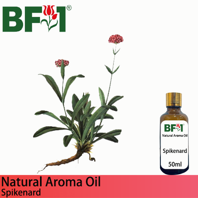 Natural Aroma Oil (AO) - Spikenard Aroma Oil - 50ml