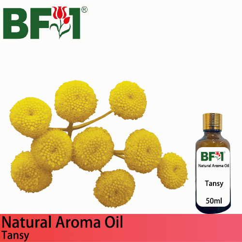 Natural Aroma Oil (AO) - Tansy Aroma Oil  - 50ml