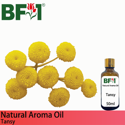 Natural Aroma Oil (AO) - Tansy Aroma Oil - 50ml