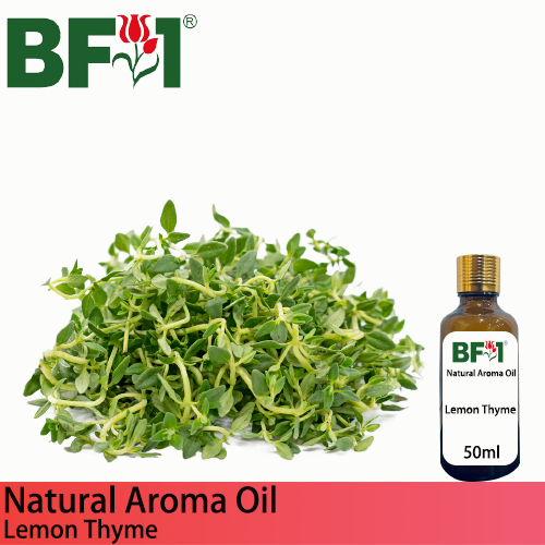 Natural Aroma Oil (AO) - Thyme - Lemon Thyme Aroma Oil  - 50ml