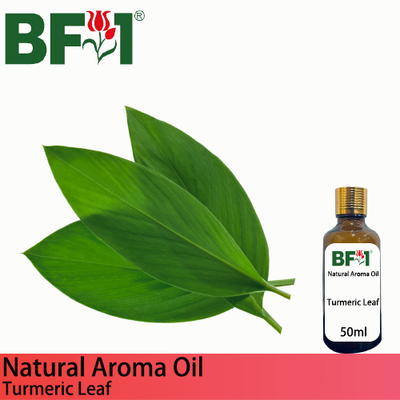 Natural Aroma Oil (AO) - Turmeric Leaf Aroma Oil - 50ml