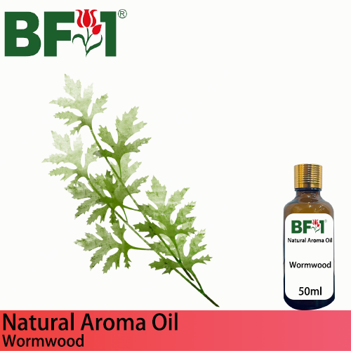 Natural Aroma Oil (AO) - Wormwood Aroma Oil  - 50ml