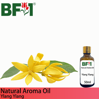 Natural Aroma Oil (AO) - Ylang Ylang Aroma Oil - 50ml
