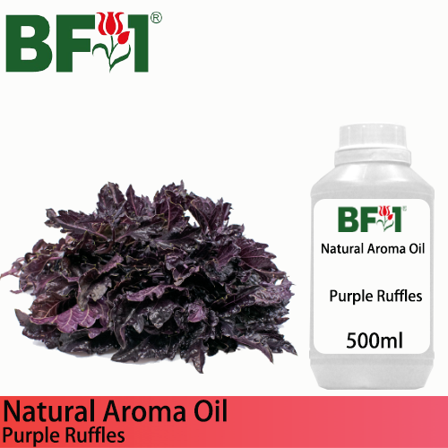 Natural Aroma Oil (AO) - Basil - Purple Ruffles Basil Aroma Oil - 500ml